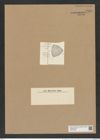 Ditylum brightwellii (West) Grun. (de-Toni-Nr.: Genus 165, Species 4281) Zeichnungen Sammlung Grunow Nr. 7840 (NHMW-BOT-W0377086)